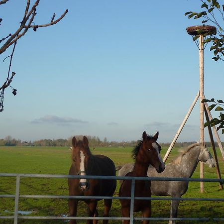 Boerderij "De Verwondering" Goudriaan Luaran gambar