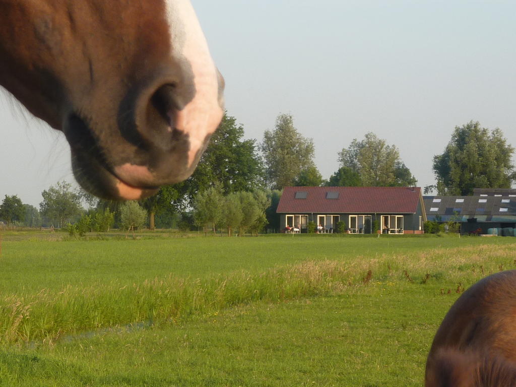 Boerderij "De Verwondering" Goudriaan Luaran gambar